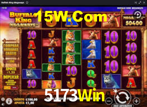 5173Win